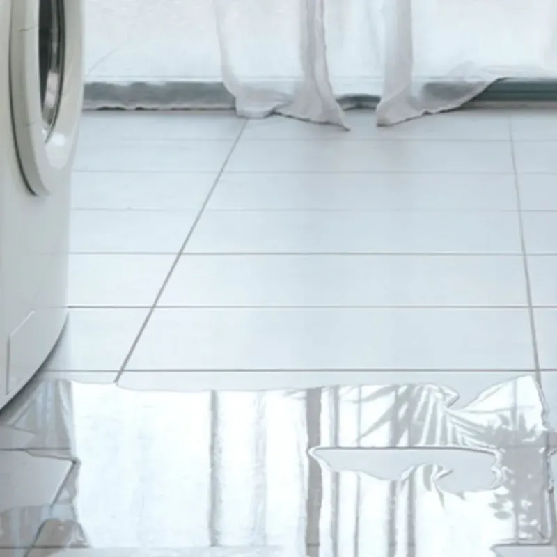 Appliance Leak Cleanup in Loveland, OH