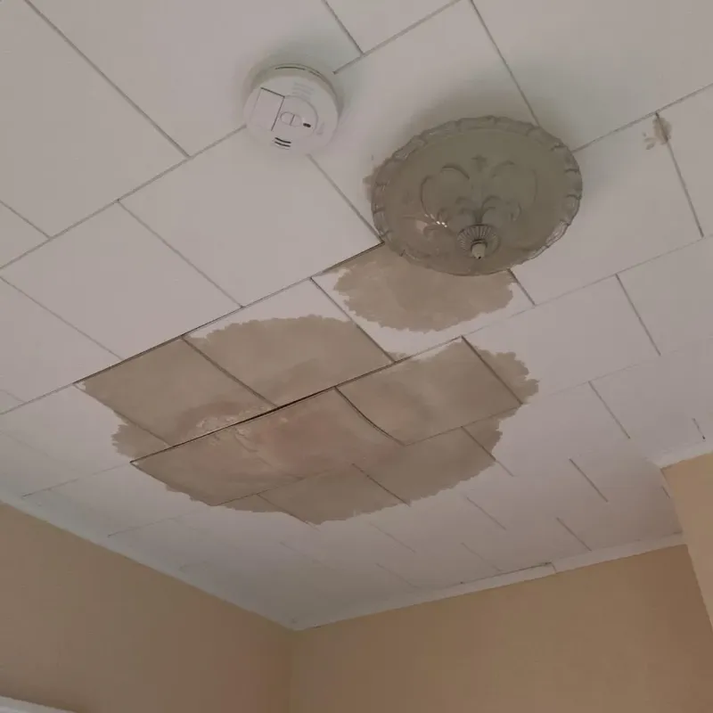 Ceiling Water Damage Repair in Loveland, OH