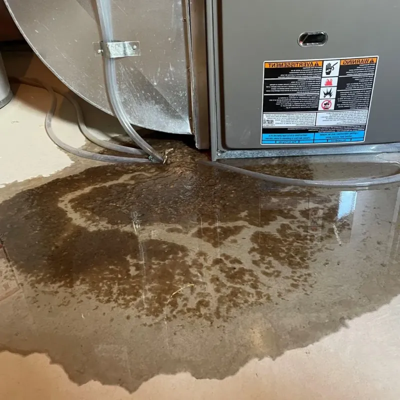 Pipe Burst and Leak Restoration in Loveland, OH