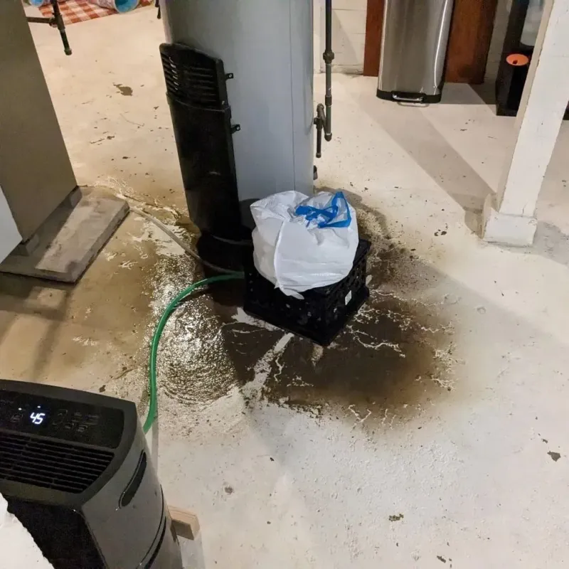 Sewage Backup Cleanup Service in Loveland, OH
